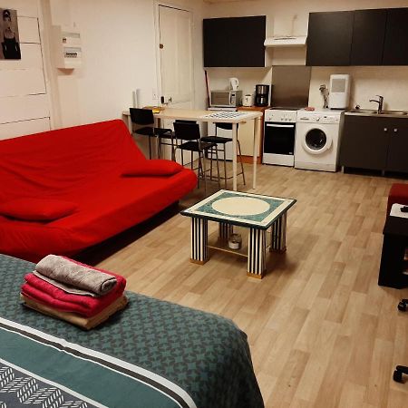 Studio 35M2 Terrasse Et Jardin Quartier Calme Au Centre Ville De Lourdes Esterno foto
